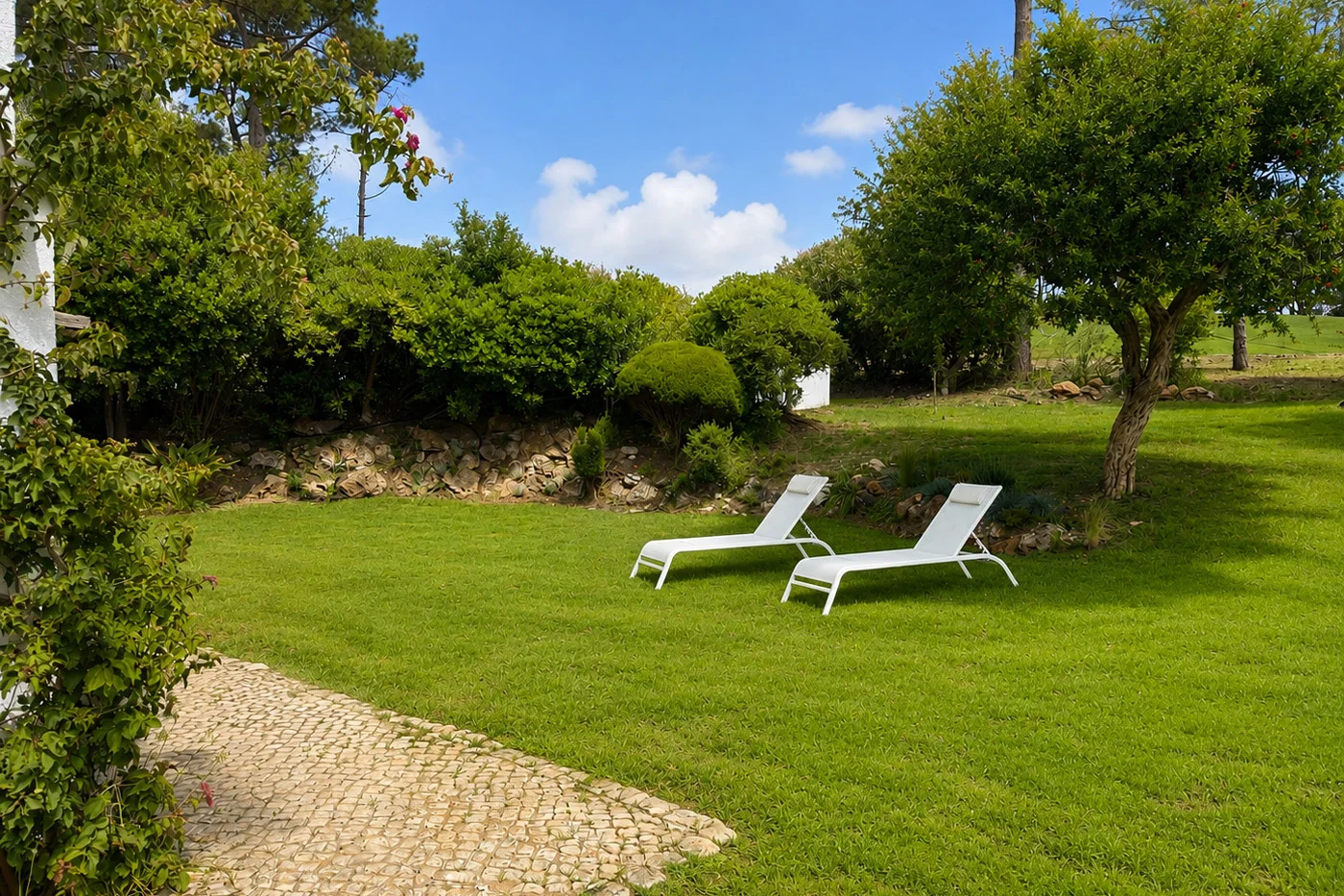 Jardim